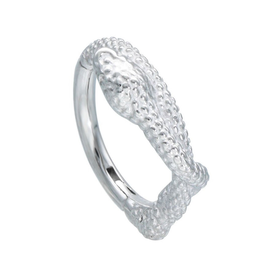 Anneau de piercing clic argenté serpent Clic argenté serpent en acier chirurgical 316L sur fond blanc