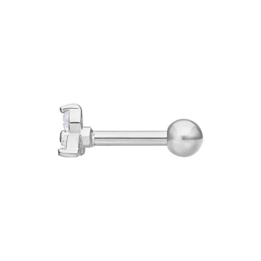 Barbell d'oreille argenté avec embout en cristal Barbell d'oreille argenté en acier chirurgical avec embout en cristal clair sur fond blanc