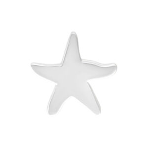 Embout Étoile de Mer Argenté pour Bioplast sur fond blanc