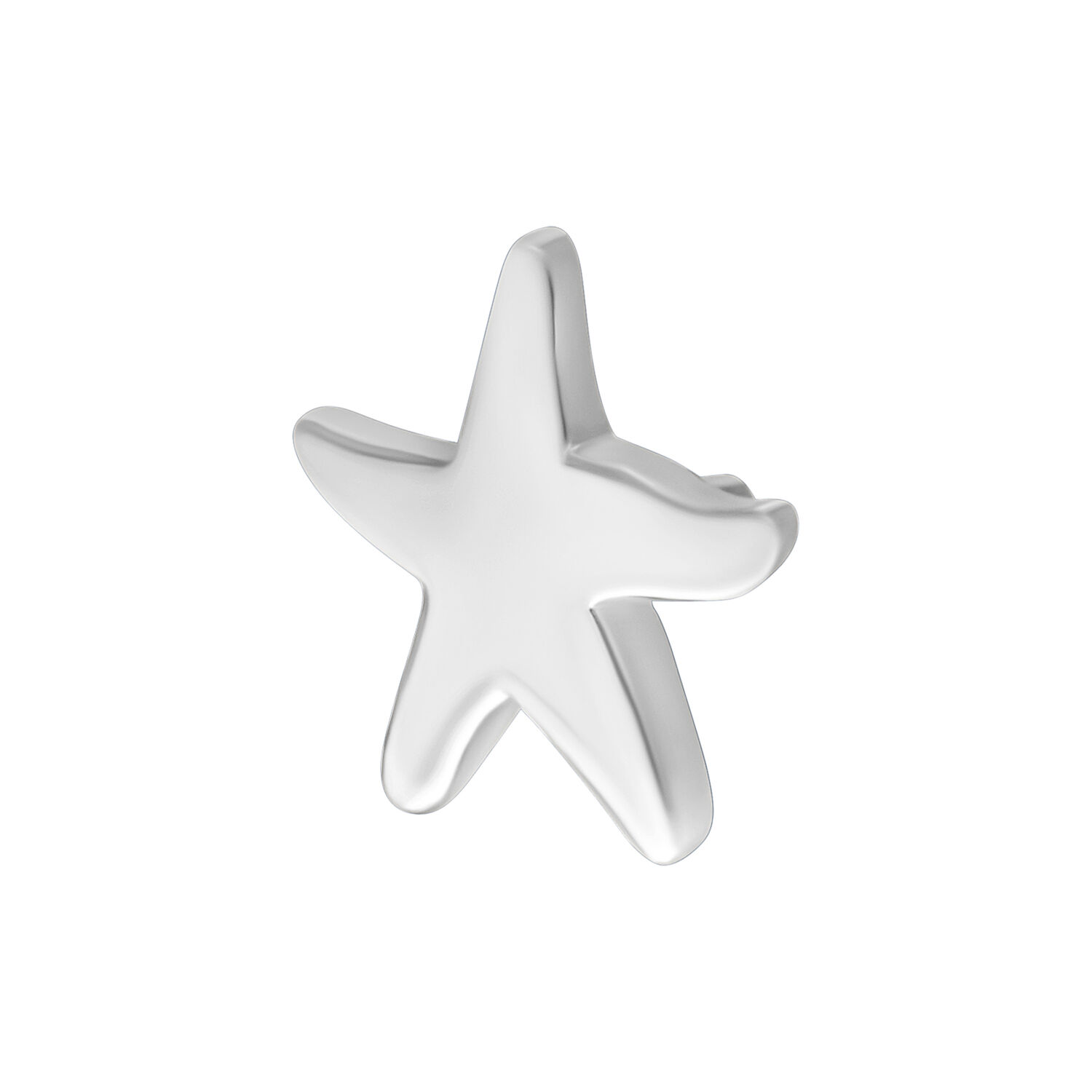 Étoile de mer argentée pour Push Fit Étoile de mer argentée en métal sur fond blanc