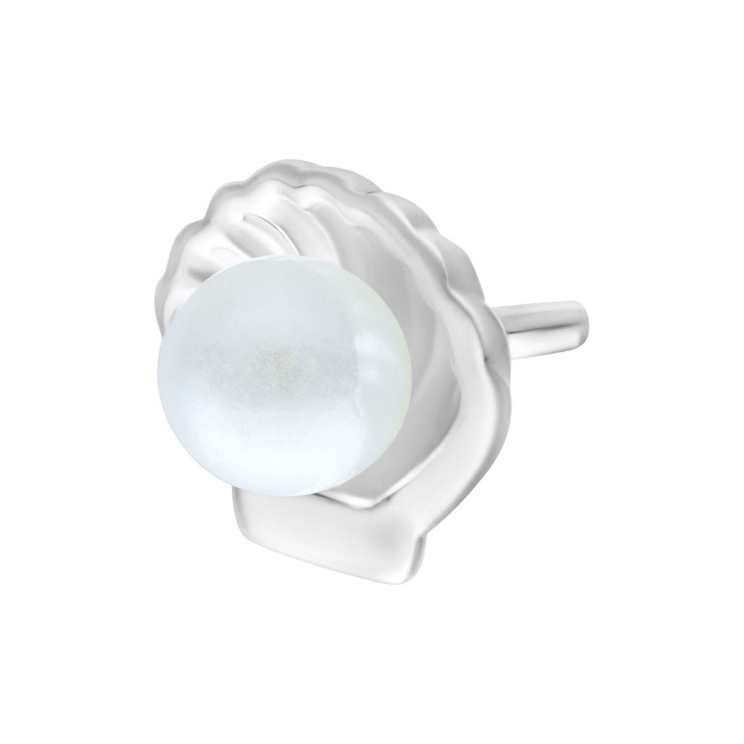 Embout en Coquillage Argenté Push Fit avec Perle Embout en coquillage argenté pour Push Fit avec perle blanche sur fond blanc