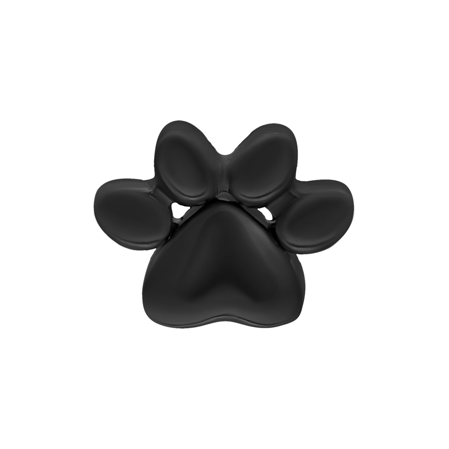 Embout patte noir en titane pour Push Fit Embout patte noir en titane sur fond blanc