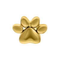 Embout de patte doré pour piercing Push Fit Embout de patte doré en titane sur fond blanc