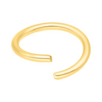 Anneau en acier chirurgical doré 0,8 mm Anneau doré sans couture en acier chirurgical sur fond blanc