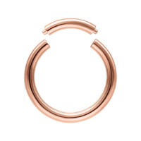 Anneau segment en or rose, 1,6 mm d'épaisseur Anneau segment en or rose en titane avec 1,6 mm d'épaisseur et 10 mm de diamètre intérieur sur fond blanc
