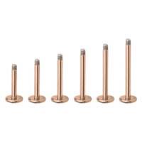 Micro Labret en titane rose doré Six micro labrets en titane rose doré sur fond blanc
