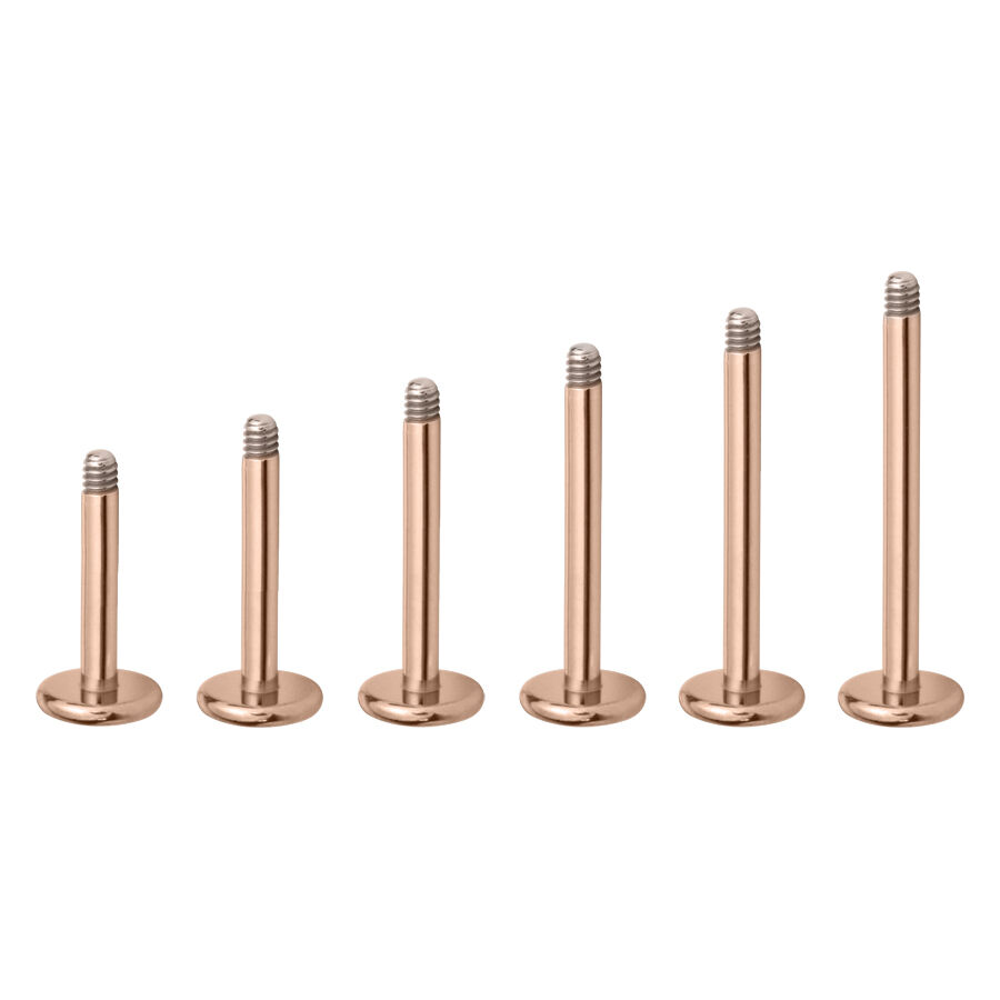 Micro Labret en titane rose doré Six micro labrets en titane rose doré sur fond blanc