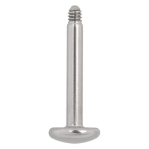 Labret en titane argenté sans boule sur fond blanc