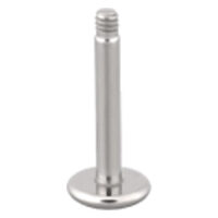 Labret en titane argenté sans boule Labret argenté en titane, position debout sur fond blanc
