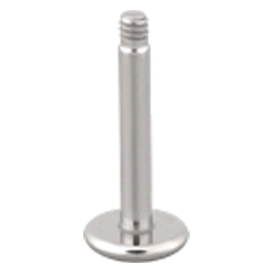 Labret en titane argenté sans boule Labret argenté en titane, position debout sur fond blanc