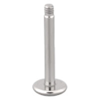 Labret en titane sans boule, argent Labret en titane argenté sans boule sur fond blanc