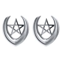 Écarteurs d'oreilles argentés avec design pentagramme, taille 6,0 mm, sur fond blanc
