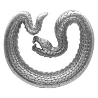 Saddles d'oreille argentées en forme de serpent en acier chirurgical 316L