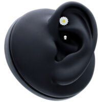 Daisy Micro Bananabell avec motif fleur Piercing noir avec fleur blanche, placé dans un modèle d'oreille noir