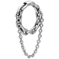 Poids d'oreilles à double chaîne en acier chirurgical argenté Poids d'oreilles argentés avec double chaîne en acier chirurgical sur fond blanc