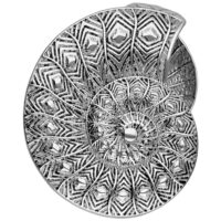 Fossil Ear Cuffs en acier chirurgical 316L Ear cuffs Fossil argentés avec motif délicat sur fond blanc