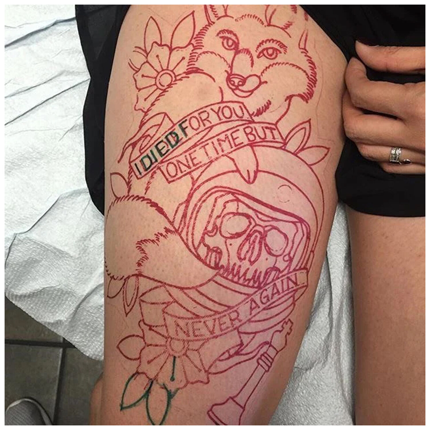 Papier de pochoir pour tatouage rouge de la marque Wildcat sur fond blanc