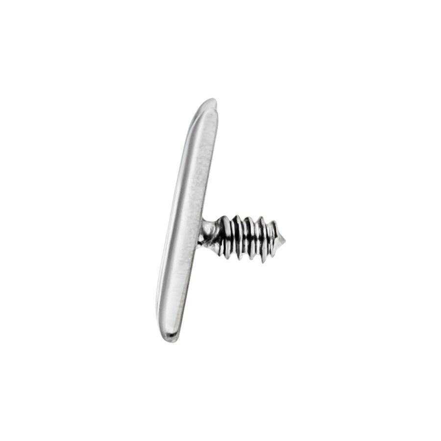 Petit embout de piercing en titane, argent Embout de piercing en titane argenté avec filetage externe sur fond blanc
