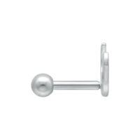 Barbell d'oreille Luna argenté pour piercings Barbell d'oreille argenté en acier chirurgical 316L sur fond blanc
