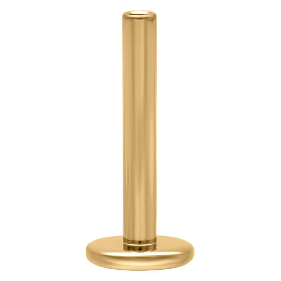Labret en titane doré Push Fit 1,0 mm Labret doré en titane avec Push Fit, 1,0 mm d'épaisseur, 5,0 mm de longueur, sur fond blanc