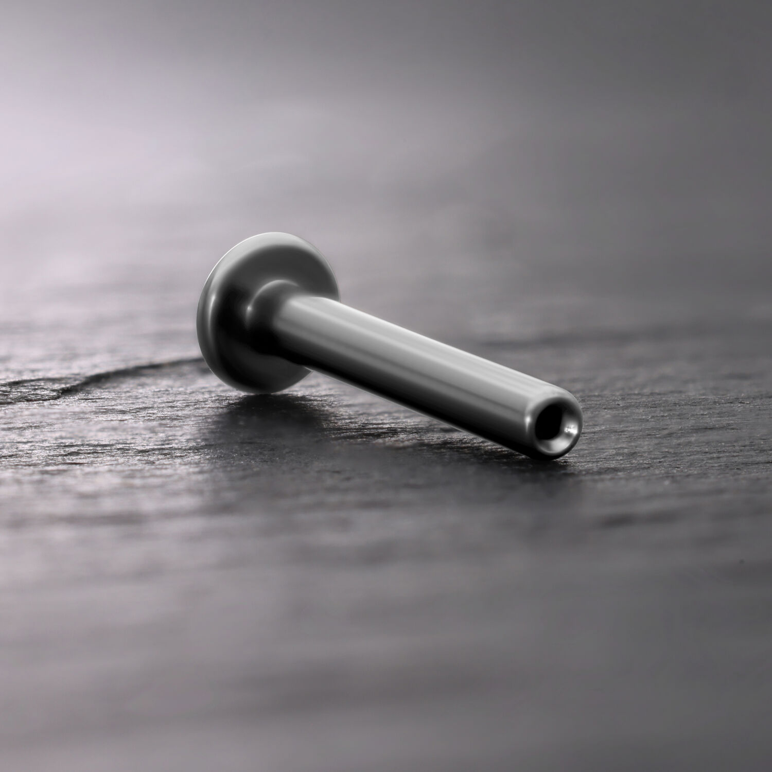 Labret Push Fit en titane argenté sur fond de bois sombre