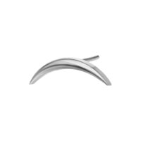 Embout en titane argenté pour Push Fit Embout ovale en titane argenté sur fond blanc