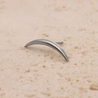 Embout en titane argenté pour Push Fit Embout ovale en titane argenté sur fond sable