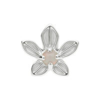 Embout Fleur de Jasmin avec Opale, Titane, Or Blanc Embout floral argenté avec opale synthétique au centre, sur fond blanc