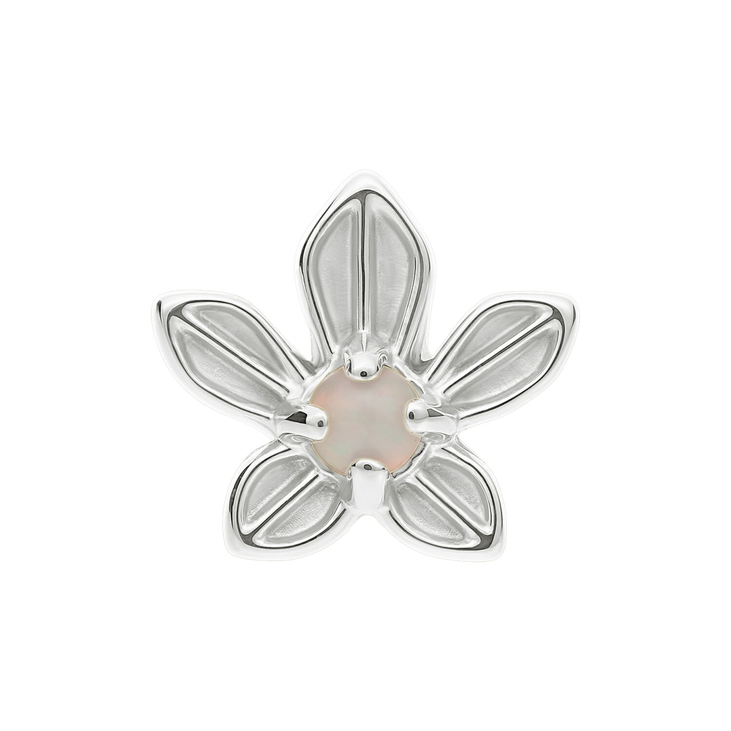Embout Fleur de Jasmin avec Opale, Titane, Or Blanc Embout floral argenté avec opale synthétique au centre, sur fond blanc