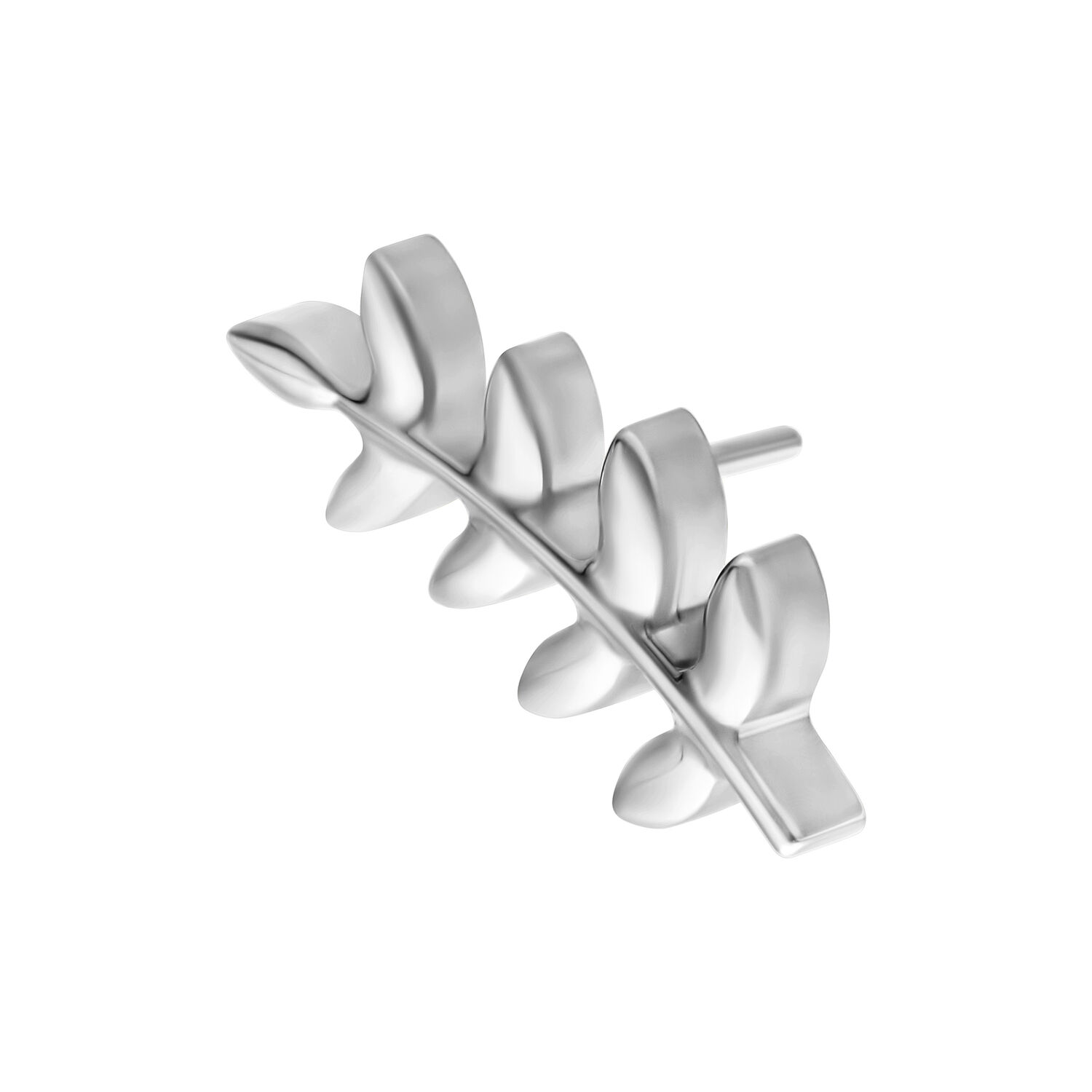 Embout Feuille Push Fit Argenté en Titane Embout feuille argenté en titane pour piercings Push Fit sur fond blanc