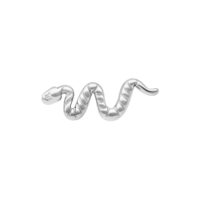 Embout Push Fit Serpent Argenté en Titane Embout Serpent Argenté en Titane sur fond blanc