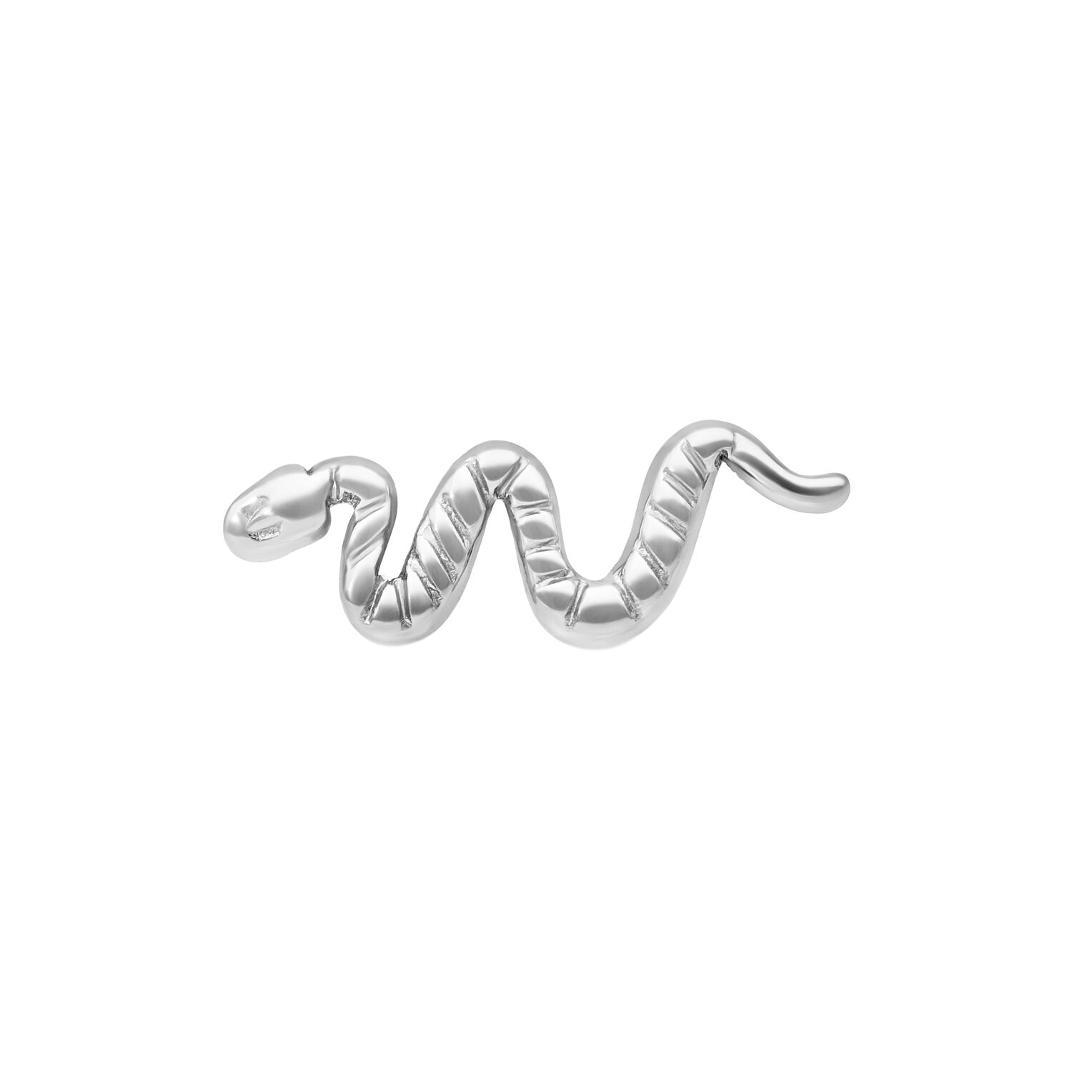 Embout Push Fit Serpent Argenté en Titane Embout Serpent Argenté en Titane sur fond blanc