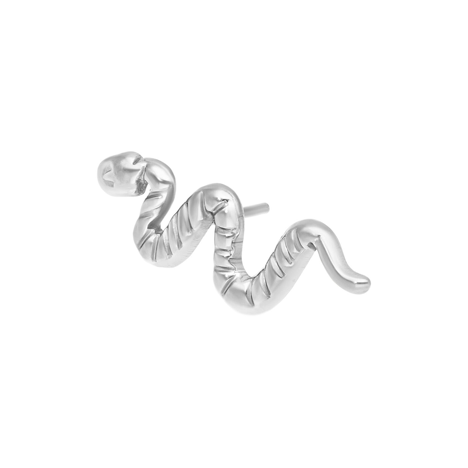 Embout Snake Push Fit argenté en titane Embout Snake argenté en titane grade 23 sur fond blanc