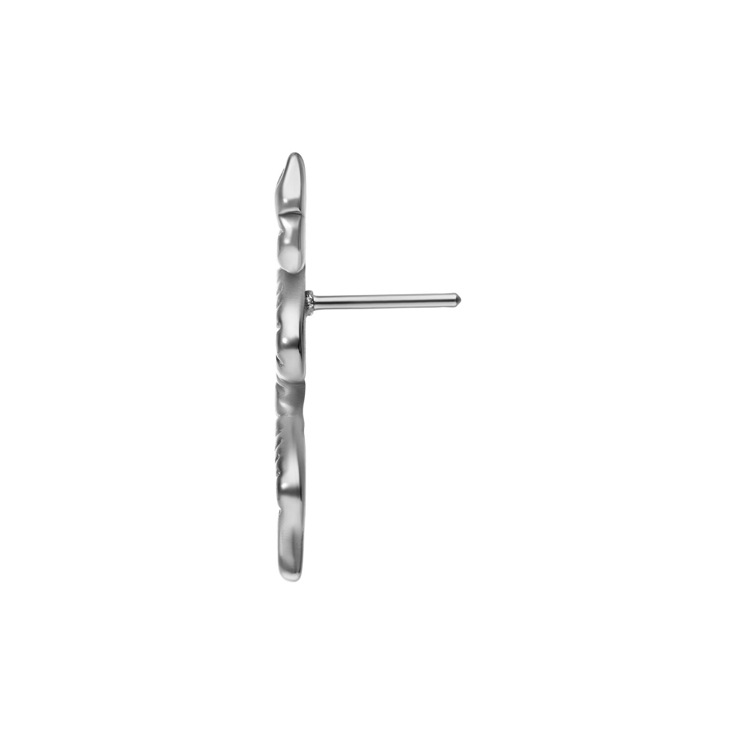 Embout Serpent Push Fit Argenté en Titane Embout Serpent Push Fit Argenté en Titane Grade 23 sur fond blanc