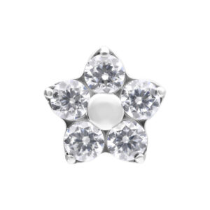 Embout fleur en titane argenté avec cinq cristaux clairs sur fond blanc