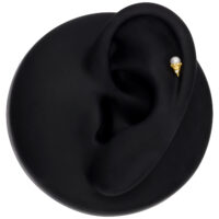 Embout Push Fit doré avec cristal Embout Push Fit doré placé sur un modèle d'oreille noir