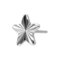 Embout étoile argenté en titane avec motif strié sur fond blanc