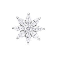 Push Fit embout cristal en forme de fleur de glace Embout cristal argenté en forme de fleur de glace sur fond blanc