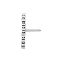 Embout Apsara Push Fit en titane argenté Embout en titane argenté avec design Push Fit sur fond blanc