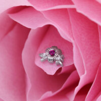 Embout de piercing en titane argenté avec rubis Embout de piercing argenté avec rubis rouge, entouré de pétales roses