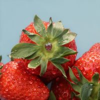 Embout fraise en titane pour piercings Embout fraise argenté sur une fraise rouge avec des gouttes d'eau sur fond bleu.