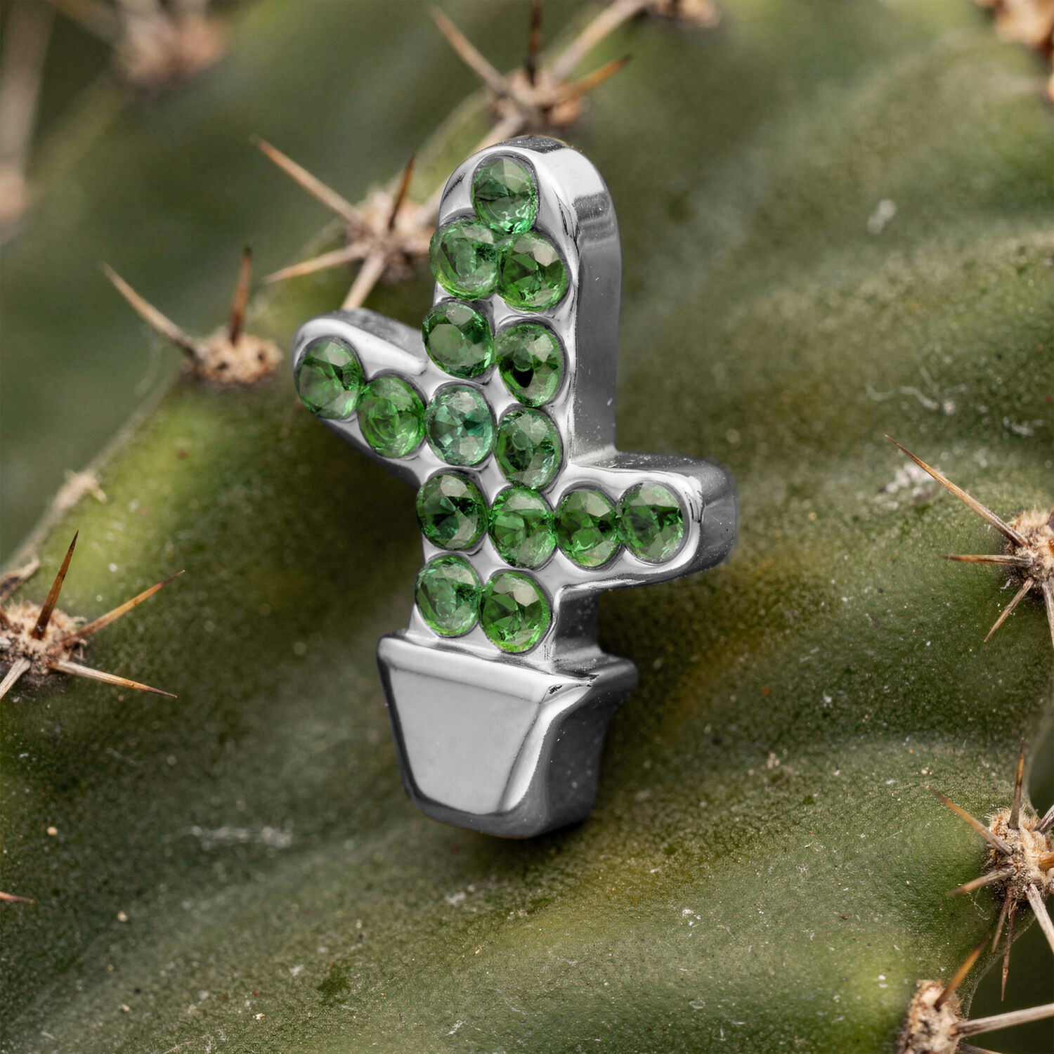 Embout de piercing cactus en argent avec pierres vertes Embout cactus en argent avec pierres vertes placé sur un cactus