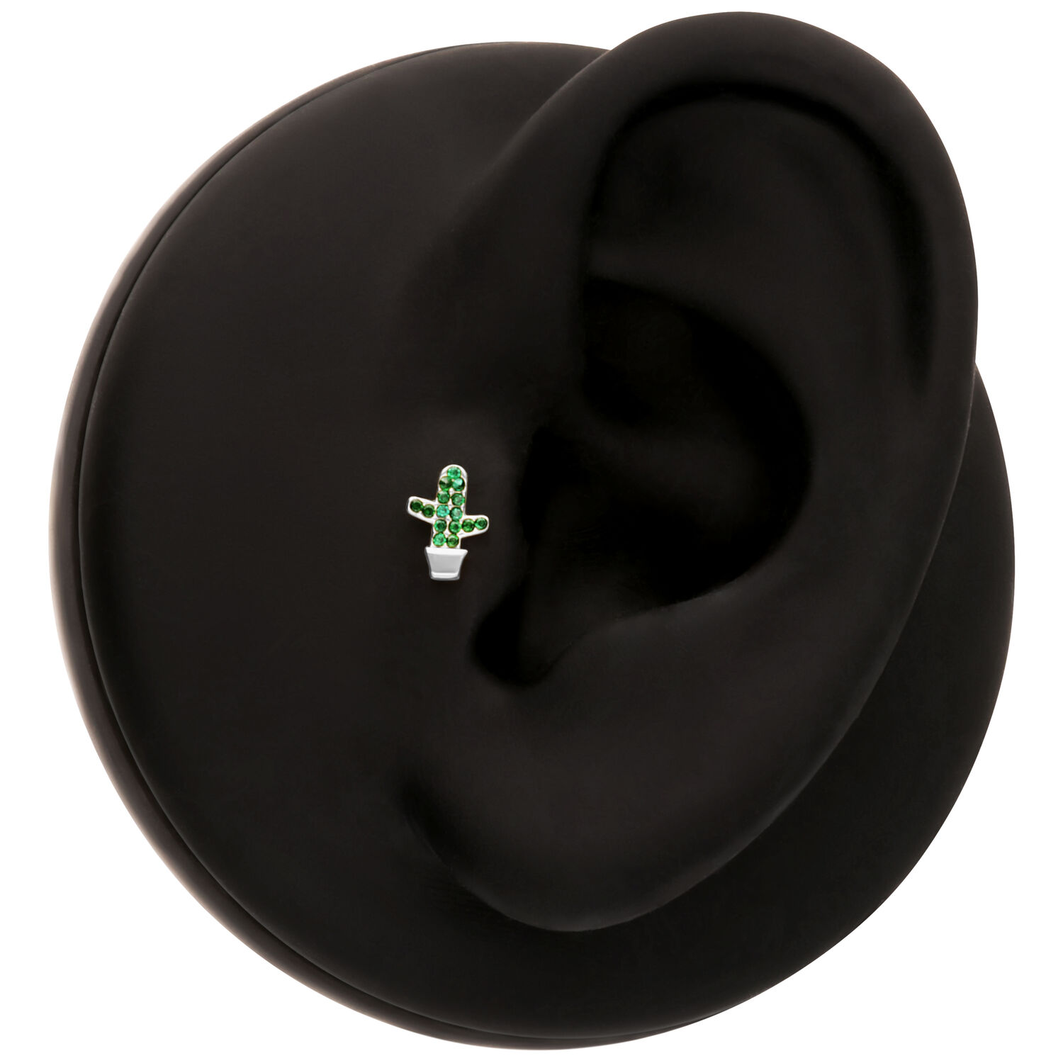 Boucles d'oreilles cactus sur présentoir noir Boucle d'oreille cactus verte sur présentoir d'oreille noir de forme ronde