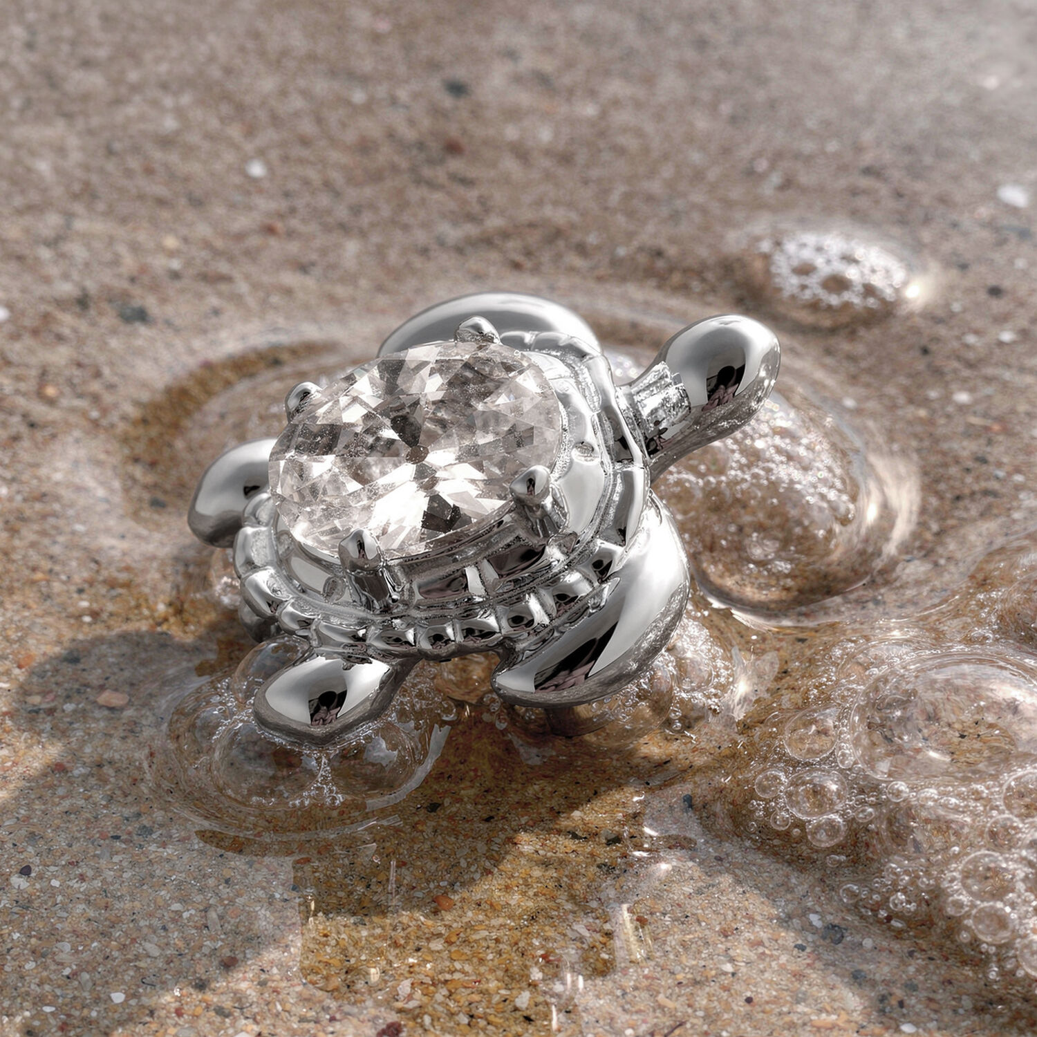 Embout de piercing tortue argentée Embout de tortue argentée sur sable mouillé avec des bulles