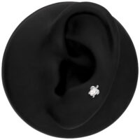 Embout de piercing tortue argenté Petit embout tortue argenté comme piercing sur un modèle d'oreille noir