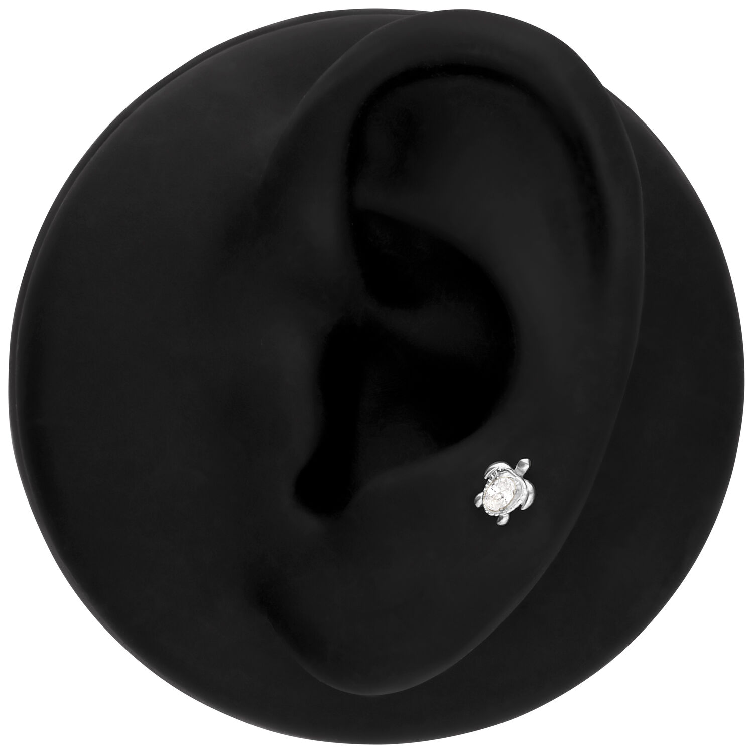 Embout de piercing tortue argenté Petit embout tortue argenté comme piercing sur un modèle d'oreille noir