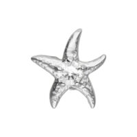 Embout de piercing étoile de mer argentée Embout étoile de mer argentée avec une pierre brillante au centre, sur fond blanc