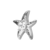 Étoile de mer argentée Push Fit Embout étoile de mer argentée avec pierre scintillante sur fond blanc
