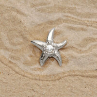 Embout de piercing étoile de mer argentée Embout étoile de mer argentée avec cristal sur sable