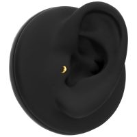 Embout Push Fit Croissant Doré Modèle d'oreille noire avec embout croissant doré dans l'oreille interne
